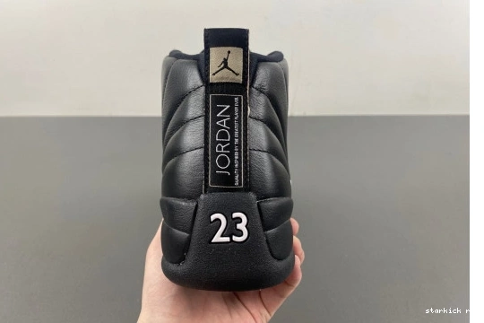 Master 130690-013  Jordan The  Retro  12 130690--013 1207